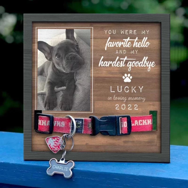 You Were My Favorite Hello And My Hardest Goodbye - Memorial Personalized Custom Pet Loss Sign, Collar Frame - Upload Image, Sympathy Gift, Gift For Pet Owners, Pet Lovers